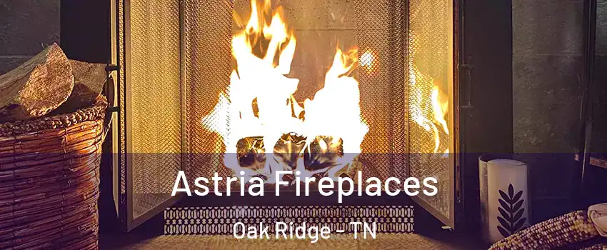  Astria Fireplaces Oak Ridge - TN