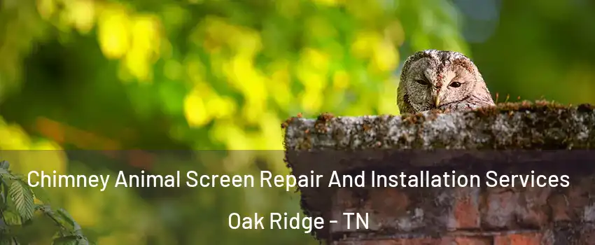  Chimney Animal Screen Repair And Installation Services Oak Ridge - TN