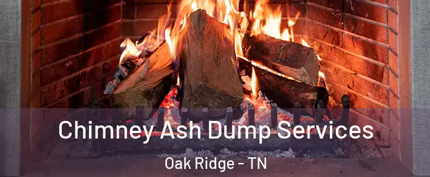  Chimney Ash Dump Services Oak Ridge - TN