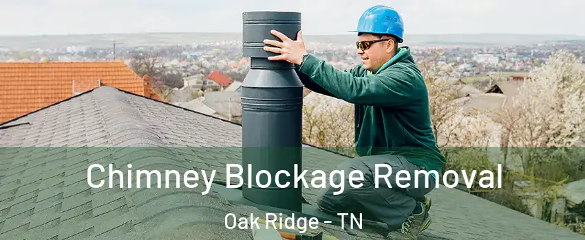  Chimney Blockage Removal Oak Ridge - TN