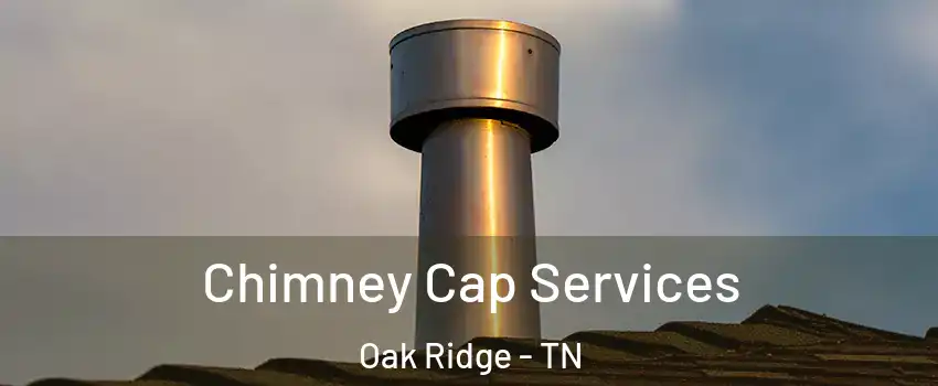  Chimney Cap Services Oak Ridge - TN