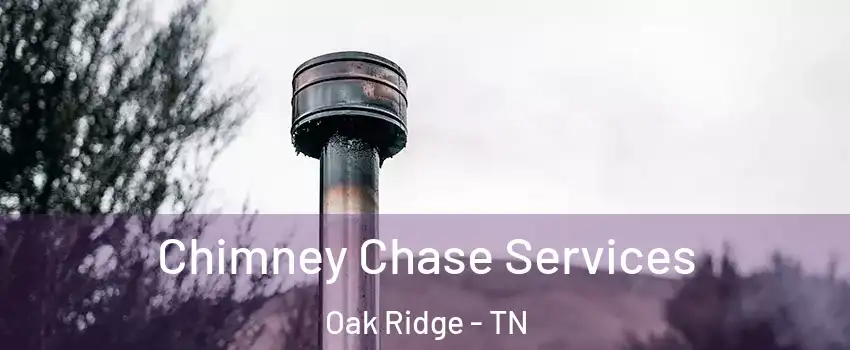  Chimney Chase Services Oak Ridge - TN