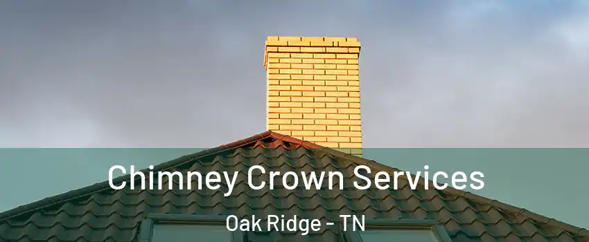  Chimney Crown Services Oak Ridge - TN