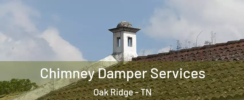  Chimney Damper Services Oak Ridge - TN