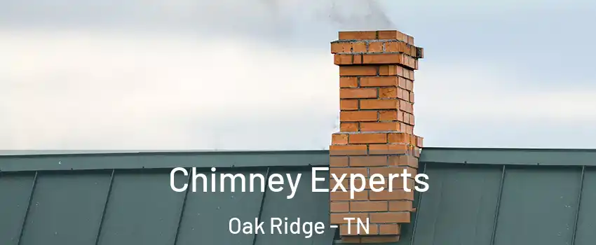 Chimney Experts Oak Ridge - TN