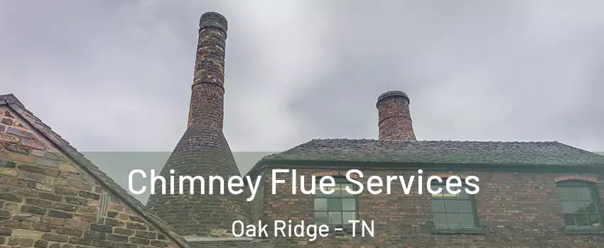  Chimney Flue Services Oak Ridge - TN