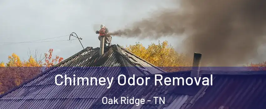  Chimney Odor Removal Oak Ridge - TN
