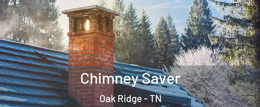  Chimney Saver Oak Ridge - TN