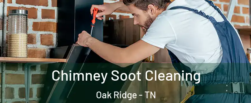  Chimney Soot Cleaning Oak Ridge - TN