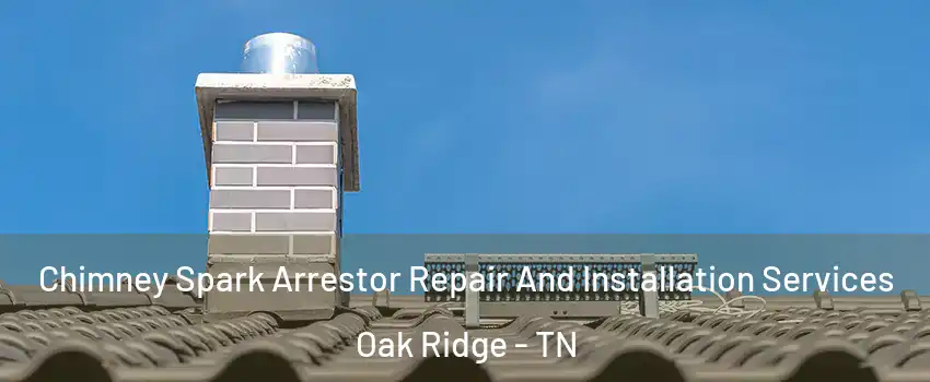  Chimney Spark Arrestor Repair And Installation Services Oak Ridge - TN