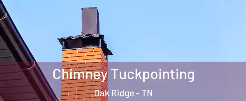  Chimney Tuckpointing Oak Ridge - TN