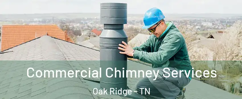  Commercial Chimney Services Oak Ridge - TN