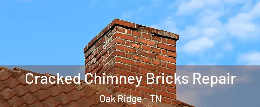  Cracked Chimney Bricks Repair Oak Ridge - TN