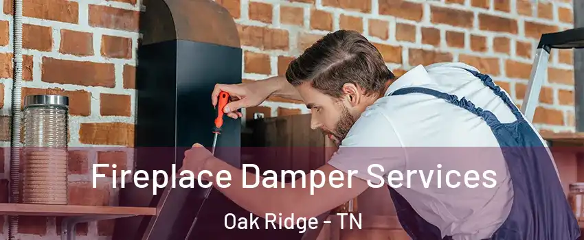 Fireplace Damper Services Oak Ridge - TN