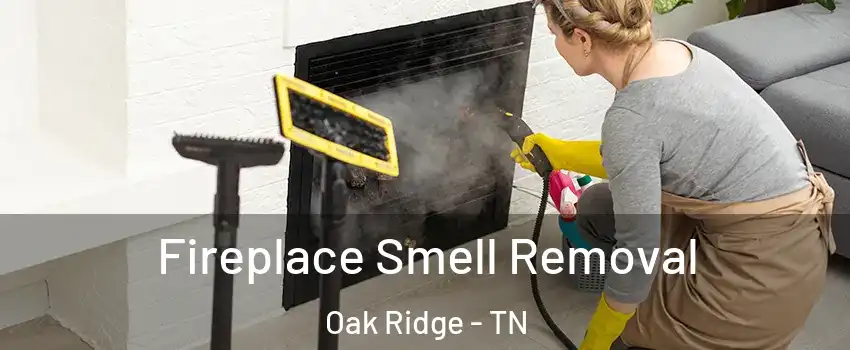  Fireplace Smell Removal Oak Ridge - TN