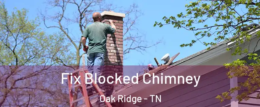  Fix Blocked Chimney Oak Ridge - TN