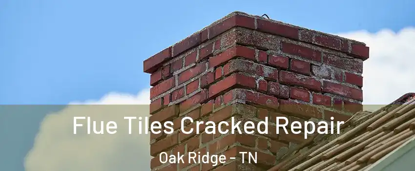  Flue Tiles Cracked Repair Oak Ridge - TN
