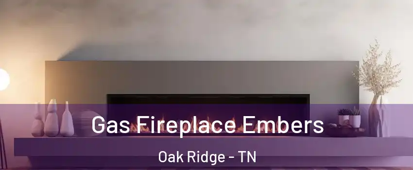  Gas Fireplace Embers Oak Ridge - TN