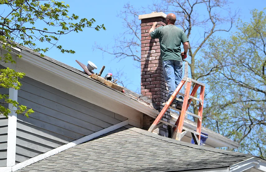 Chimney & Fireplace Inspections Services in Oak Ridge, TN