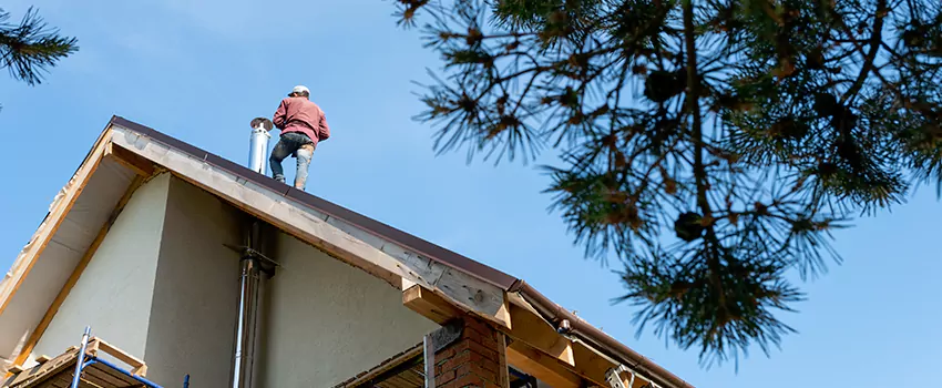Birds Removal Contractors from Chimney in Oak Ridge, TN