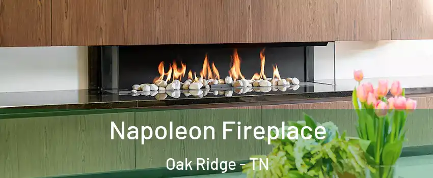  Napoleon Fireplace Oak Ridge - TN
