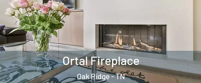 Ortal Fireplace Oak Ridge - TN